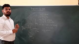 Properties of DNA [upl. by Anitsyrc]