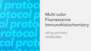 Multicolor Fluorescence Immunohistochemistry using primary antibodies [upl. by Nauwtna]