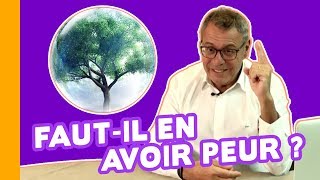 🤔Les Perturbateurs Endocriniens Je ne Veux pas Vous Faire Flipper Mais [upl. by Ahsineg988]