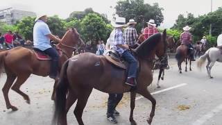 Cabalgata Horse Parade at the Feria de las Flores Flower Festival in Medellin Colombia [upl. by Inod]