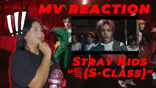 MV REACTION Stray Kids quot특SClassquot BY SALIRUM [upl. by Reel330]