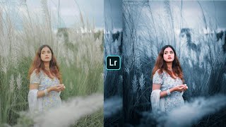 Blue grey effect Lightroom photo editing mobilepreset download free [upl. by Lidia]