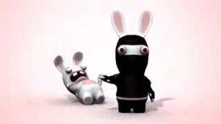 Ninja Rabbid Scream [upl. by Kathe]