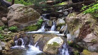 Video of Limekiln State Park CA from Jenn R [upl. by Eiralc]