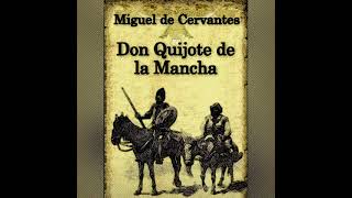 Capítulo 41 Audiolibro Don quijote de la mancha Donde todavía prosigue el cautivo su suceso [upl. by Xavier]