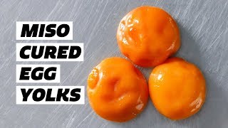 MISO cured EGG YOLKS [upl. by Aihtnys]