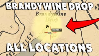 Red Dead Online Brandywine Drop Treasure Map All Locations [upl. by Avera]