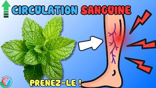 À Ne Pas Rater  5 Aliments NATURELS Contre Les Varices Personne Ne Parle  Allez Santé [upl. by Matias]