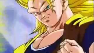 Dbz amv goku vs buu [upl. by Plante]