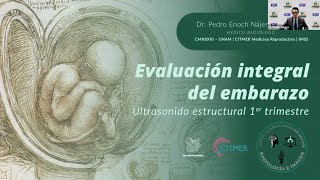 1  2 Ultrasonido estructural primer trimestre del embarazo  Dr Najera [upl. by Baxy]