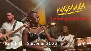 Wiyaala  Coming With Fire  Kamfest Slovenia 2022 [upl. by Ennaesor]