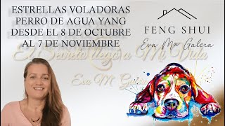 ✨Feng Shui Estrellas Voladoras Bazi y Energías Octubre mes del Perro de Agua Yang [upl. by Olva]