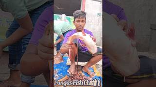 Incredible Giant Pangas Fish Cutting Techniques  Fish Cutting Skills [upl. by Nylorahs687]