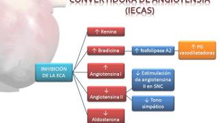 Tema 27 Fármacos indicados en la Insuficiencia Cardíaca [upl. by Pearle]