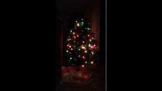 Christmas tree with blinking lights at night [upl. by Leur]