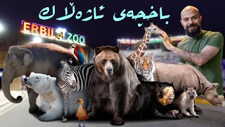 باخچەى ئاژەڵانى هەولێر  حديقة حيوانات اربيل  Erbil Zoo [upl. by Onaivlis]