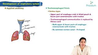 Development of respiratory system  Embryology Lecture [upl. by Levine]