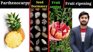 184 Parthenocarpy  Seed Dormancy  Fruit setting and ripening fsc Biology class 12 [upl. by Bouzoun]