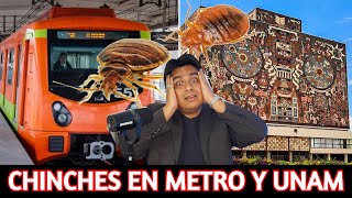 CHINCHES en la UNAM METRO CETIS Y EN TODA CIUDAD DE MÉXICO  CDMX CON CHINCHES [upl. by Nnaytsirk]