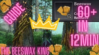 Beeswax KING 60  BeesWax per 10minutes Ultimate farm route New World 2023 newworld Guide [upl. by Ardnic]