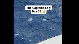 The Captains Log Day 58 [upl. by Gefell470]