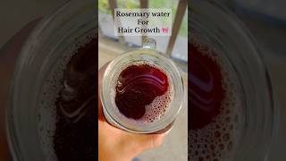 Rosemary water for HAIR Growth  shorts hairgrowth hair care [upl. by Antonin]