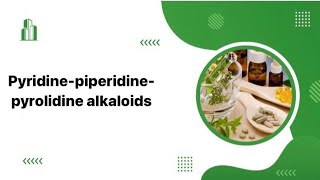 محاضرة الثانيه عقاقير pyridinepiperidinepytolidine alkaloids [upl. by Joshua]