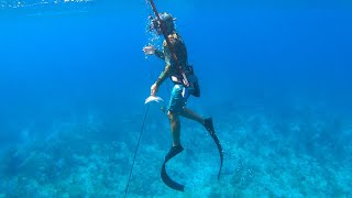 Spearfishing A Reef For Food On A Small Island Catch Clean Cook [upl. by Sylvanus921]