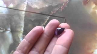 ALEXANDRITE DIAMOND GLASS CUT TEST  WONDERS OF CREATION [upl. by Nahtanha100]