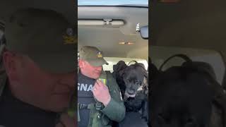 La JUBILACIÓN de una PERRITA de GENDARMERÍA [upl. by Jardena970]