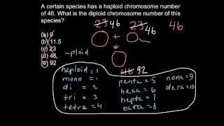 Ploidy level problem [upl. by Jessamyn]