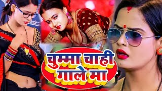 खुलम खुल्ला डांस वीडियो सोंग देखकर आपकी लार टपक जाएगी  2024 Bhojpuri Song Superhit 2024 [upl. by Jenny32]