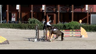 Horse jump fail compilation  SLaudiovisual 2015 [upl. by Nikaniki]