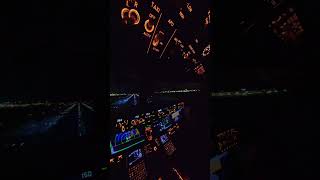 B737 Night Landing Cockpit View [upl. by Nydroj]