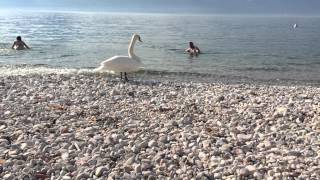 URLAUB AM GARDASEE [upl. by Nesyaj]