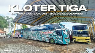 KLOTER TIGA DATANG DUA UNIT BUS BINTANG PRIMA  PRIMO AUTO BUS CONCEPTBODY REPAIR MALANG [upl. by Aivato23]