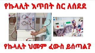 የኩላሊት እጥበት መቼ ያስፈልጋል dialysis indications  yekulalit etbet meche yasflegal [upl. by Imis]