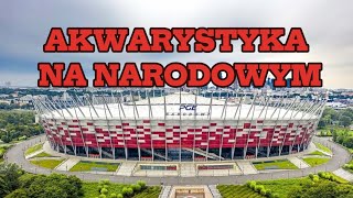 Targi akwarystyczne na stadionie narodowym 3032024 [upl. by Nodnahs]