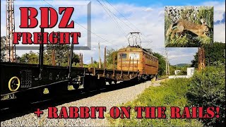 Lucky Escape Bunny Outrunning a Freight Train in Bulgaria [upl. by Leifeste493]