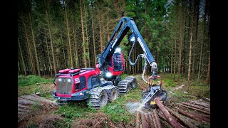 🌲CabView Komatsu 931XC • HarvesterAction • DroneView • Forstbetrieb Rauber • Fast Logging 🌲 [upl. by Mercado]