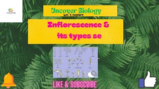 Inflorescence and its types botany biologyhpscdsssb [upl. by Latashia]