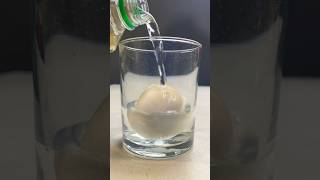 What Happens When You Soak an Egg in Vinegar MindBlowing Experiment [upl. by Lammond]