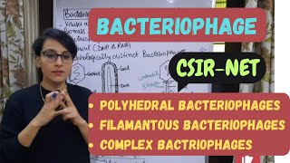 Bacteriophages  Polyhedral Filamentous and Complex Bacteriophages  CSIRNET [upl. by Veronika]