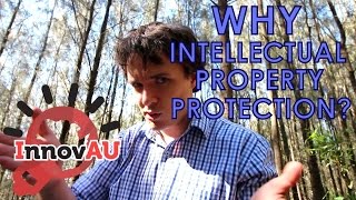 WHY PROTECT INTELLECTUAL PROPERTY [upl. by Sneed697]