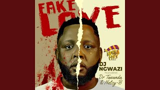 Fake Love feat Dr Tawanda amp NelcyB [upl. by Aketal]