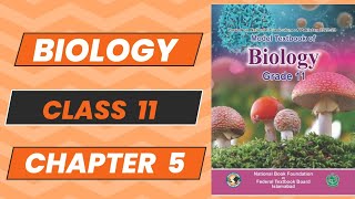 Biology 11 Chapter 5 Acellular Life Topic 2 and 3 New Book NBF 2024 Complete Explanation FBISE [upl. by Colan]