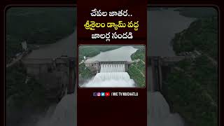 చేపల జాతరశ్రీశైలం డ్యామ్ వద్ద జాలర్ల సందడి srisailam fishing fisherman fish waterfall viral [upl. by Mcnamara]