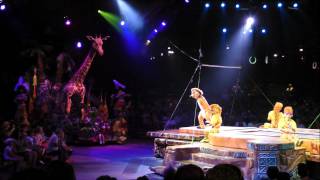 Festival of the Lion King Animal Kingdom Walt Disney World HD 1080p [upl. by Ayian940]