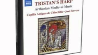 Tristans Harp  Arthurian Medieval Music [upl. by Gilletta]