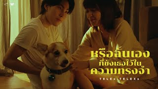 TELEx TELEXs  หรือฉันเองที่ขังเธอไว้ในความทรงจำ Move On 【Official Music Video 】 [upl. by Arahsat953]